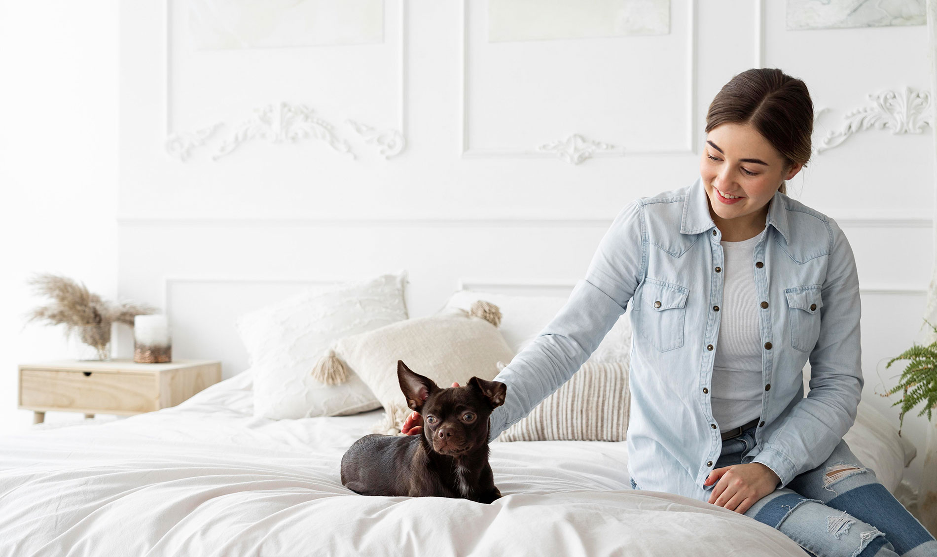 Guest with a small dog on the bed in a bright room, welcoming stay in Rome city centre near Teatro dell’Opera - Hotel Sonya, BZAR hotels in Rome